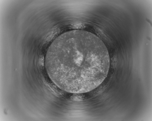 X0000102520368200808291802