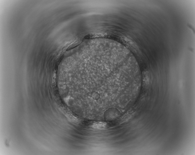 X0000102520369200808291802