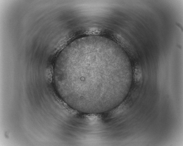 X0000102520370200808291802