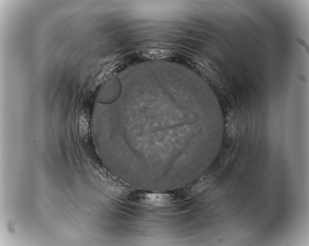 X0000102520371200808291802