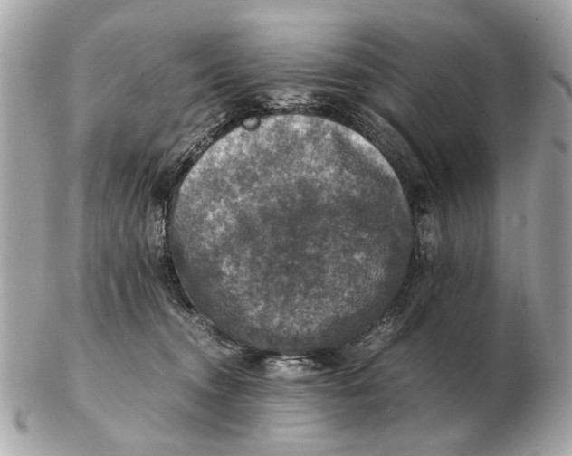 X0000102520372200808291802