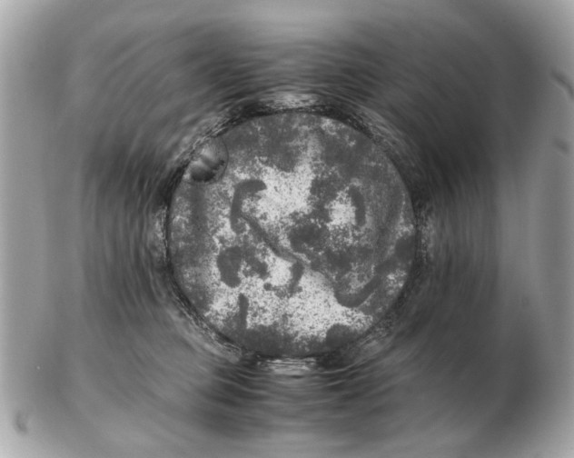 X0000102520373200808291802