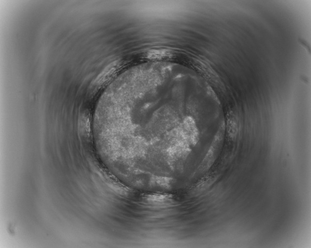 X0000102520375200808291802