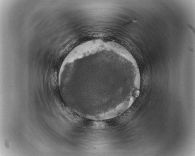 X0000102520376200808291802