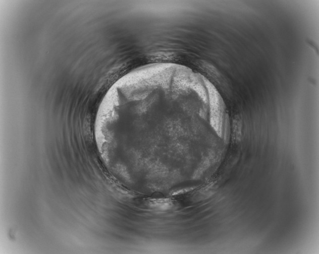 X0000102520377200808291802