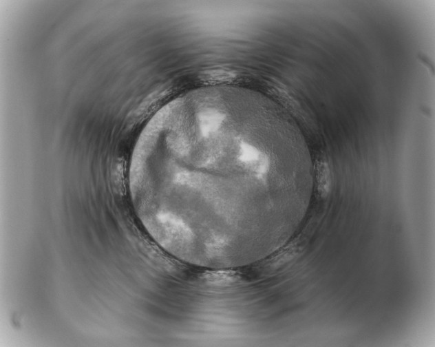 X0000102520378200808291802