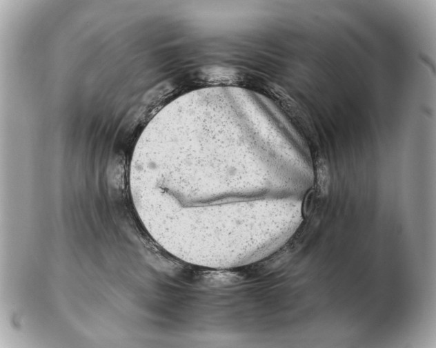 X0000102520379200808291802