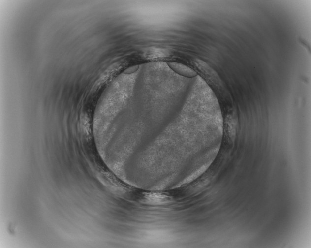 X0000102520380200808291802