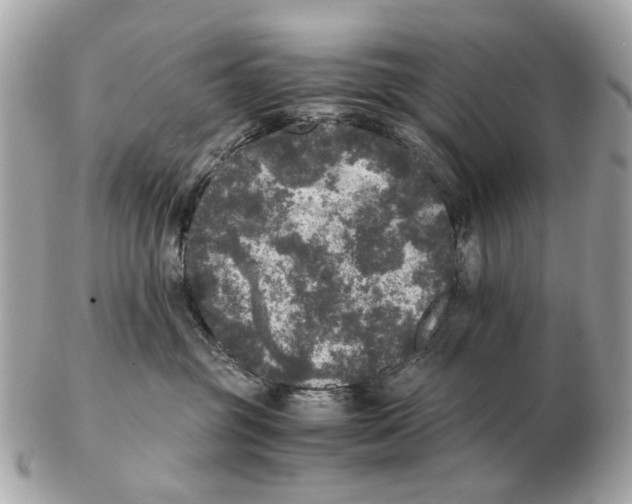 X0000102520381200808291802