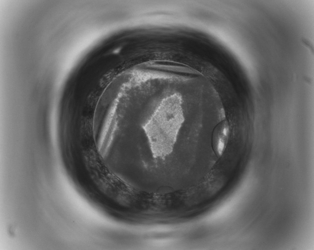 X0000102520383200808291802