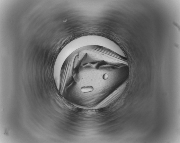 X0000102520384200808291802