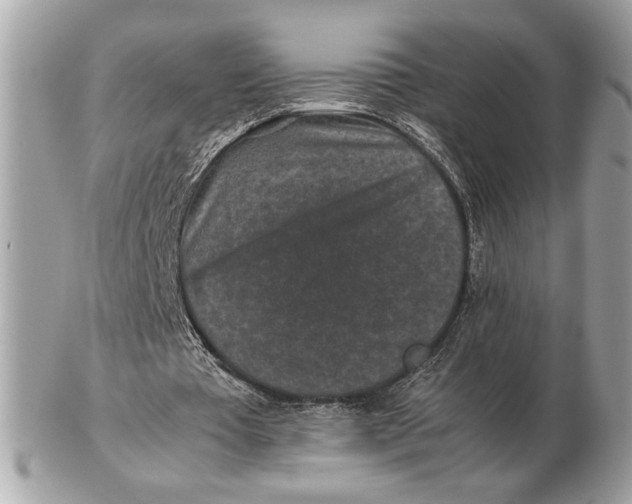 X0000102520385200808291802