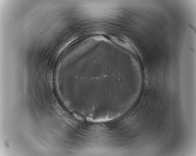 X0000102520386200808291802