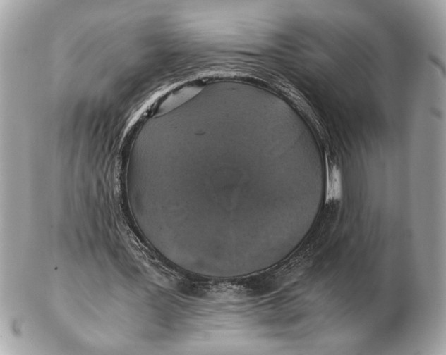 X0000102520387200808291802