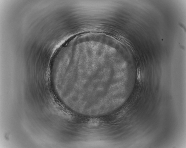 X0000102520388200808291802