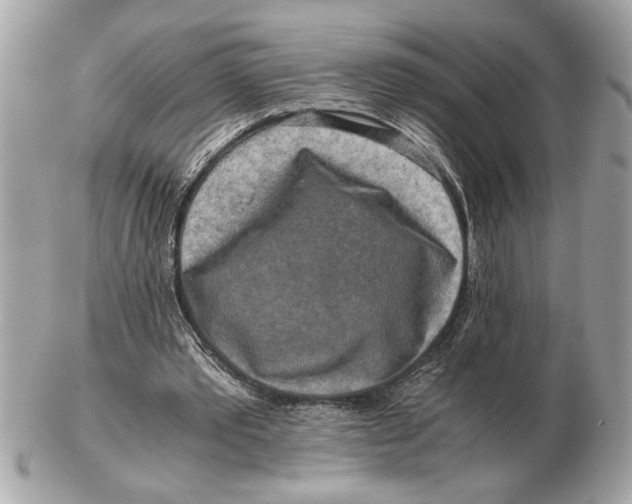 X0000102520389200808291802