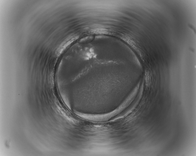 X0000102520390200808291802