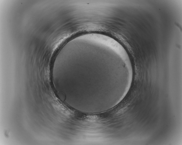 X0000102520391200808291802