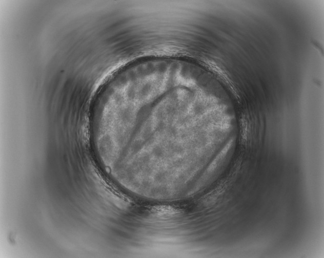 X0000102520392200808291802