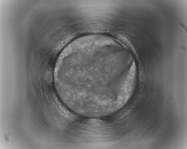 X0000102520393200808291802