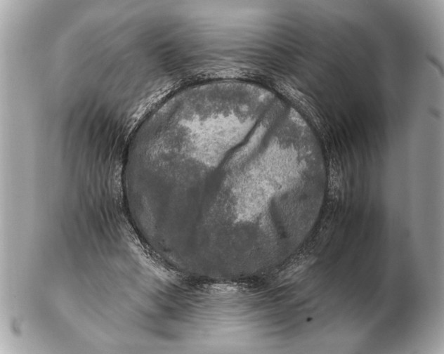 X0000102520394200808291802