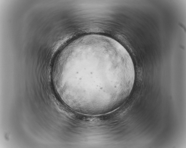 X0000102520395200808291802