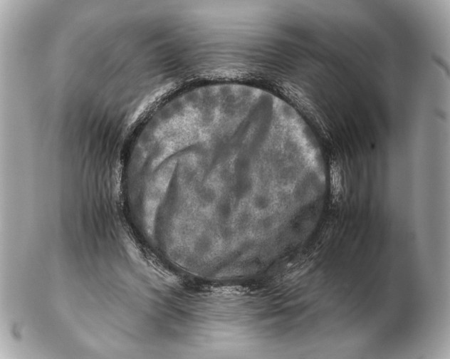 X0000102520396200808291802