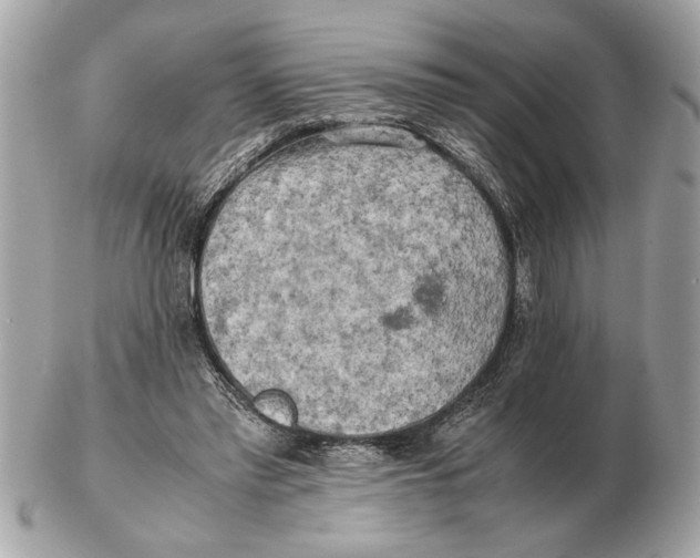 X0000102520397200808291802