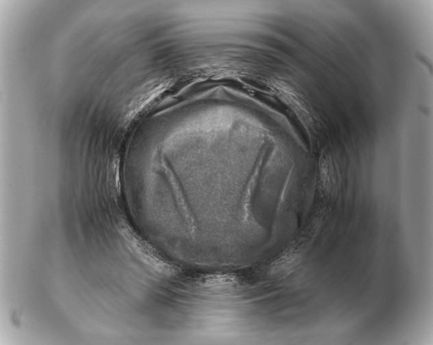 X0000102520398200808291802