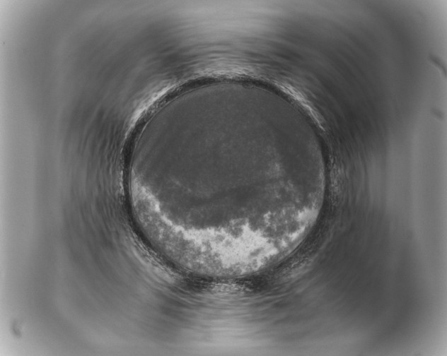 X0000102520399200808291801