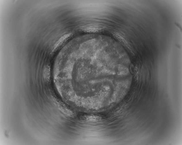 X0000102520400200808291801