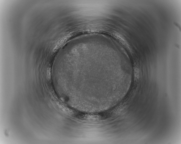 X0000102520401200808291801