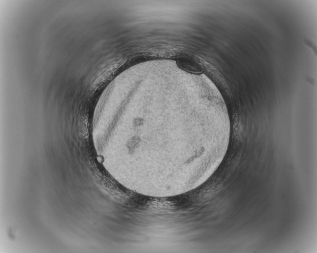 X0000102520403200808291801