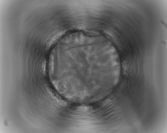 X0000102520404200808291801