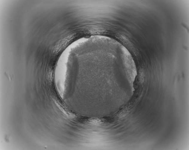 X0000102520405200808291801