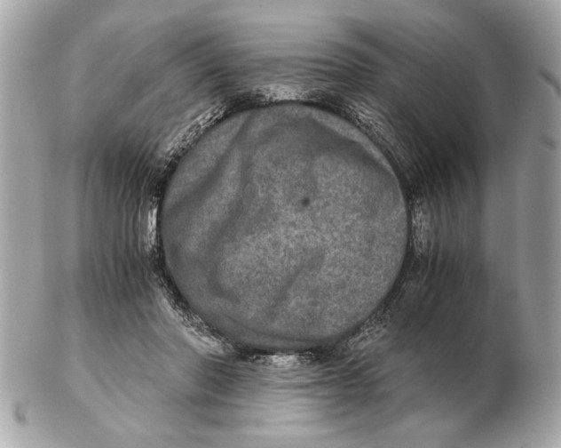 X0000102520406200808291801