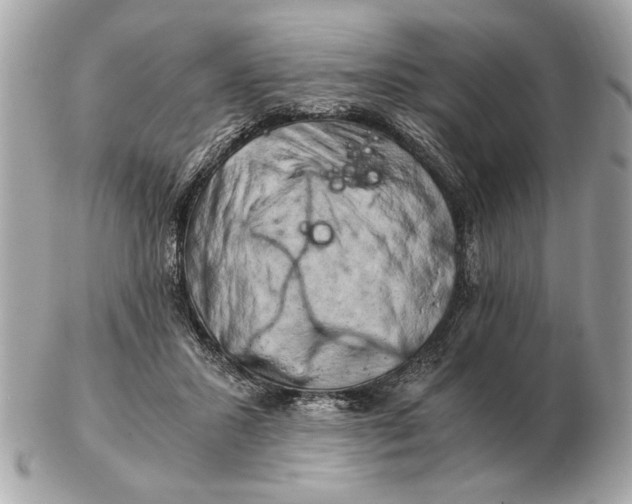 X0000102520407200808291801