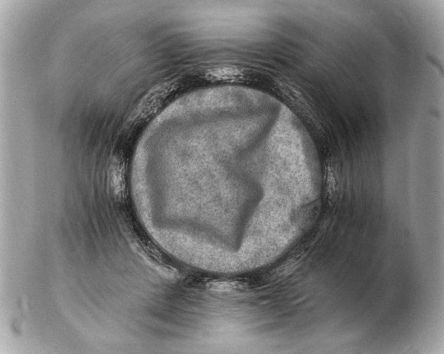 X0000102520408200808291801