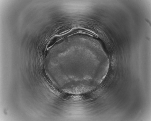 X0000102520409200808291801