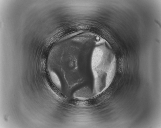 X0000102520410200808291801