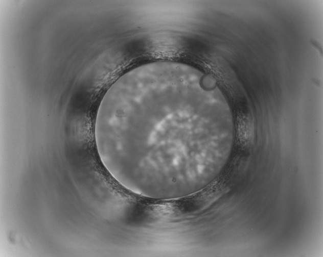 X0000102520411200808291801