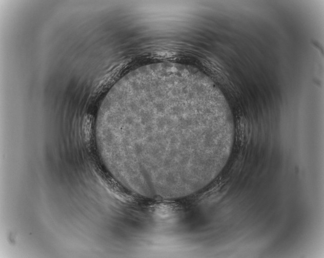 X0000102520412200808291801