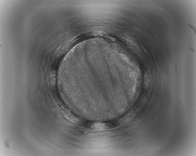 X0000102520413200808291801