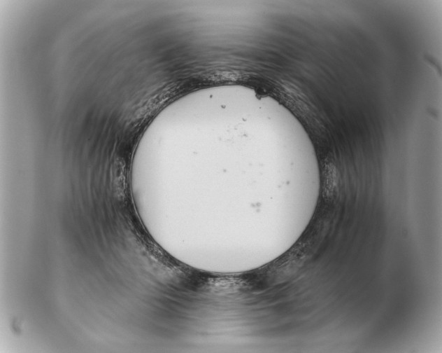 X0000102520414200808291801