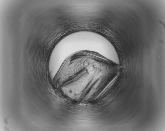 X0000102520415200808291801