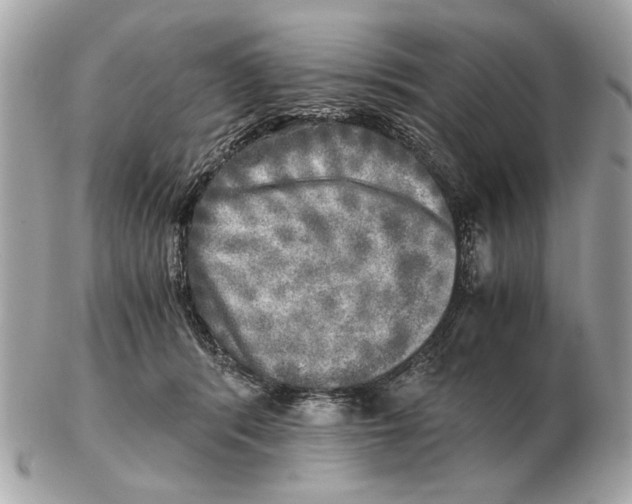 X0000102520416200808291801