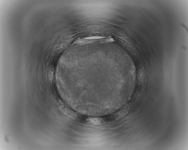 X0000102520417200808291801