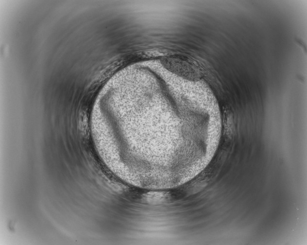 X0000102520418200808291801