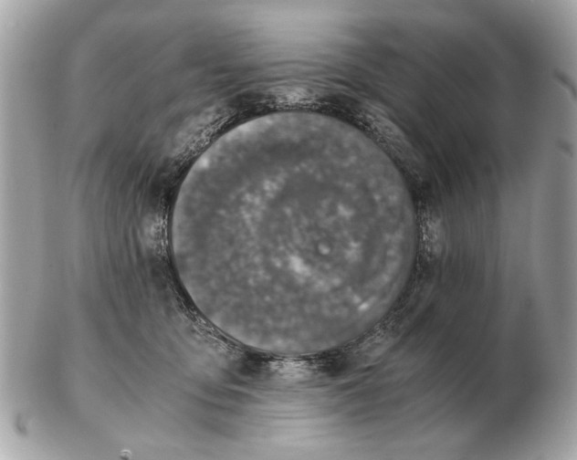 X0000102520419200808291801