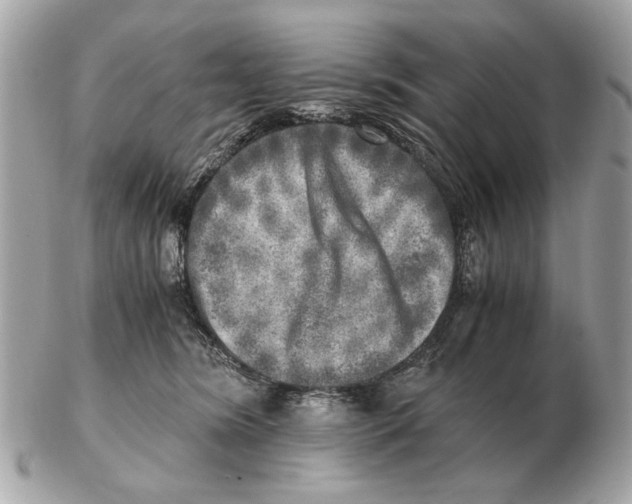 X0000102520420200808291801